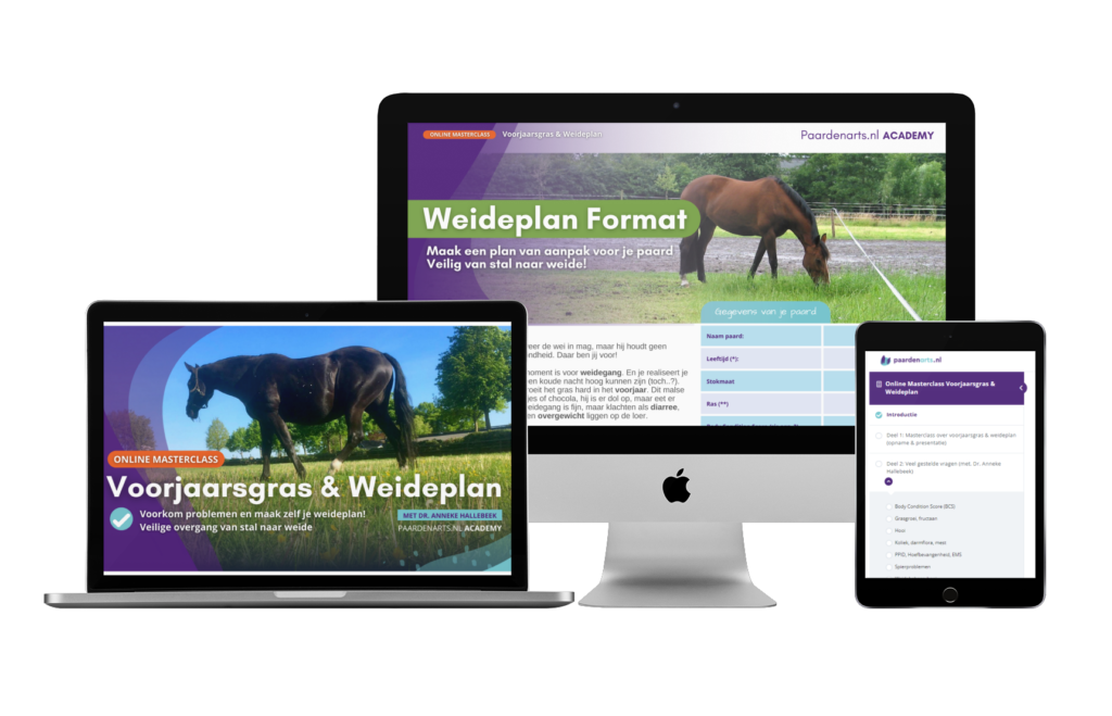Paardenarts.nl Academy - Online Masterclass Voorjaarsgras & Weideplan