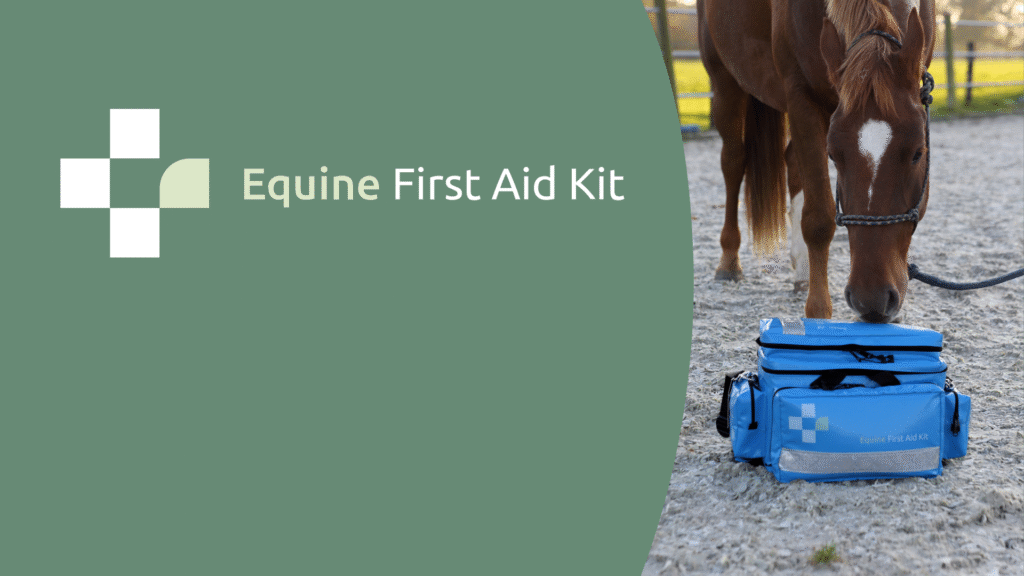 Online EHBO-instructie